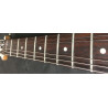 Ibanez PGM 30 Paul Gilbert con Custodia Rigida