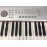 Korg SP-500