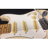 Applause Stratocaster con custodia rigida