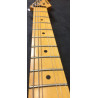 Applause Stratocaster con custodia rigida