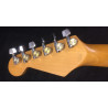 Applause Stratocaster con custodia rigida
